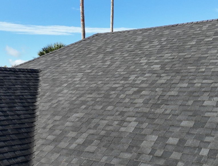 What Other Services Were Mentioned